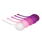 Evolved Tight & Delight 5 pc Weighted Kegel Ball Set - Assorted Colors Evolved Novelties INC