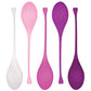 Evolved Tight & Delight 5 pc Weighted Kegel Ball Set - Assorted Colors Evolved Novelties INC