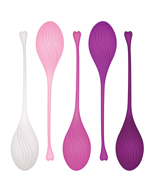 Evolved Tight & Delight 5 pc Weighted Kegel Ball Set - Assorted Colors Evolved Novelties INC